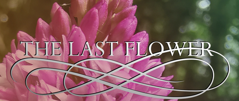 The-last-flower-video