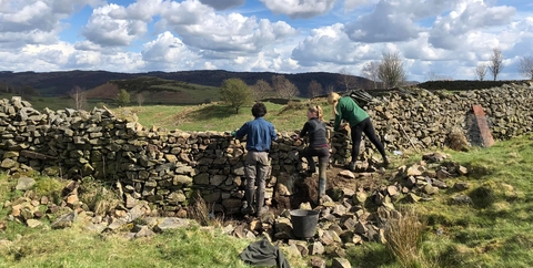 Three people leaning on a dry stone wall, looking across at the hills beyond, underneath a blue sky.
