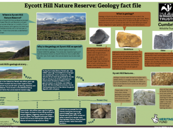Eycott Hill Nature Reserve: Geology fact file 