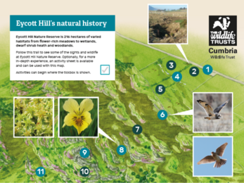 Eycott Hill's natural history: map