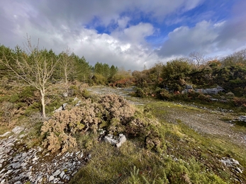 Image of Holme Park Quarry Local Nature Reserve credit Cumbria Wildlife Trust