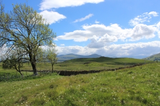 image of rolling green countryside at Eycott hill in spring with Blue sky and white clouds.
