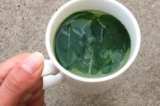 A mug of mint tea