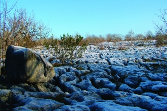 image of limestone pavement hutton roof crags nature reserve