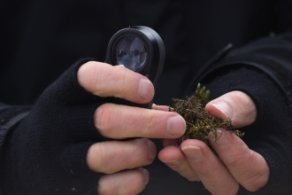 Hands in fingerless black gloves holding a lichen and hand lense