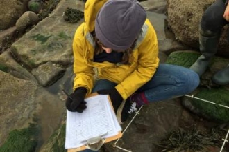 image of Sian Bentley doing a shoresearch survey at st bees beach
