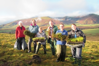 Volunteers at eycott hill with heath plants
