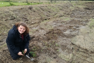 Rachel Todner plug planting at Eycott Hill
