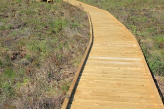 Photo of the boardwalk and osprey viewing area at Foulshaw Moss Nature Reserve