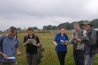 People studying grasses at Eycott Hill Nature Reserve