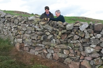 Volunteers drystone walling at Eycott Hill Nature Reserve