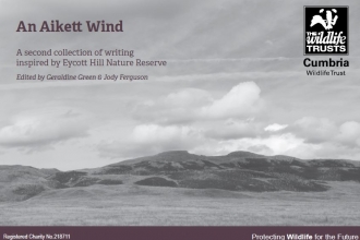 Cover of An Aikett Wind anthology