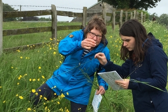 Image of volunteers identifying grasses at Plumgarths, Kendal