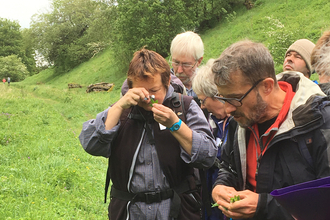 Image of volunteers updating their plant ID skills at a training course at Newbiggin-on-Lune