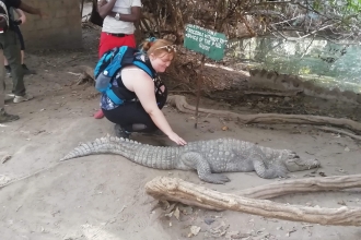 Jess Cowburn touches crocodile