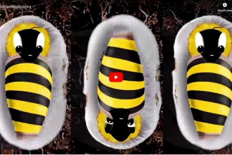 Image of still from Get Cumbria Buzzing animation