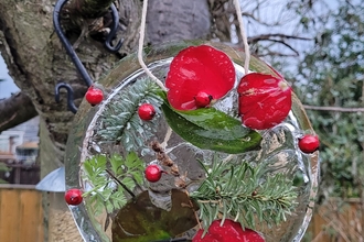 A homemade decoration made from ice and leaves, hanging from a tree in a garden