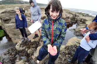 Image of children looking for rockpool sealife creatures