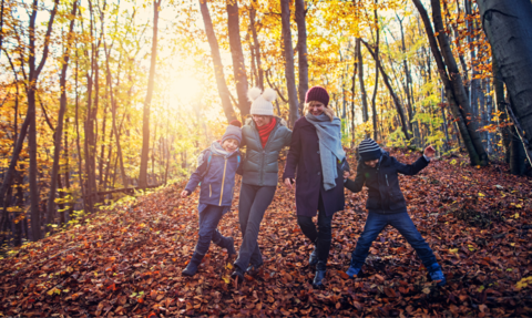 A family of four people walking in an autumn woodland with leaves on the ground and the sun coming through the trees.