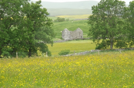 Image of Piper Hole meadow in  Ravenstonedale