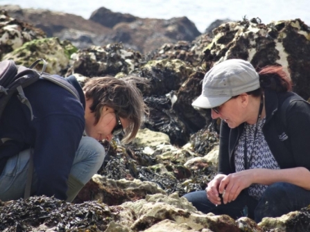 Two women looking for samphire on the sea shore - copyright leon roskilly - kent wildlife trust