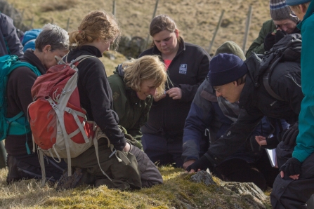 Group of people studying lichen on rock at Eycott Hill Nature Reserve