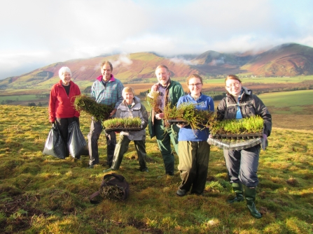 Volunteers at eycott hill with heath plants