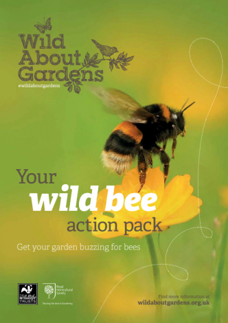 image of Help wild bees guide front cover 