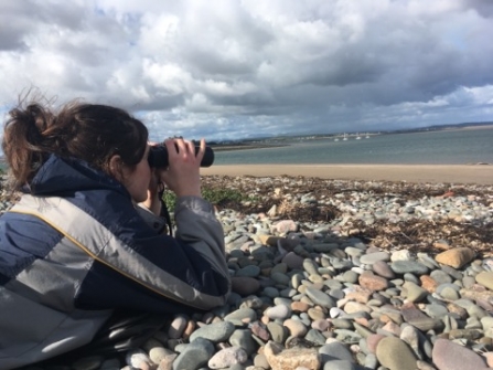 Image of Jade Allen surveying grey seals at South Walney Nature Reserve
