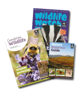 Membership magazine & nature reserve guide cover thumbnails