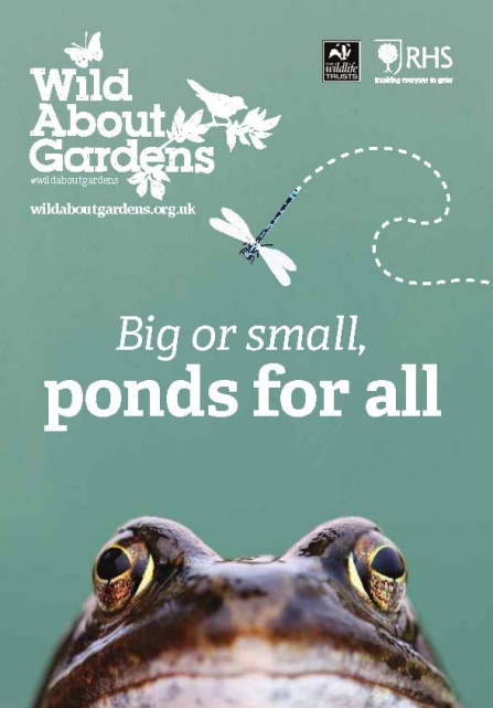 Image of cover of Wild About Garden - ponds leaflet 2019