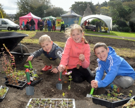 Children plant wildflower plug plants