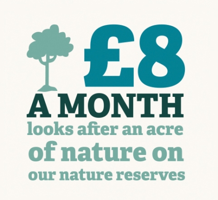infographic - £8 a month looks after an acre of nature on our nature reserves