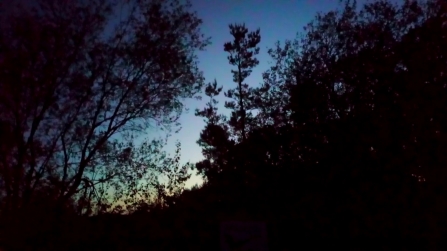 Staveley Woodlands at night