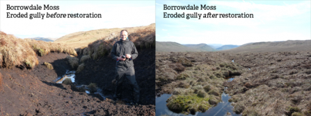 Borrowdale Moss before and after restoration