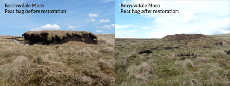 Borrowdale Moss peat hag before and after restoration
