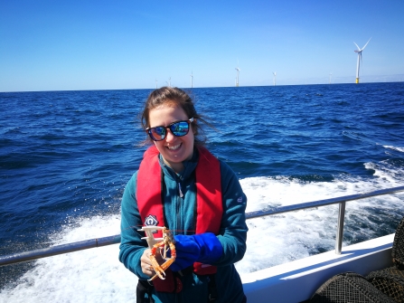 Lydia Tabrizi measuring Dublin Bay prawn
