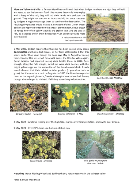 Nature Diary 4 May 2020 by Peter and Sylvia Woodhead page 2