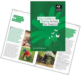 Take Action for Insects free guide - The Wildlife Trusts