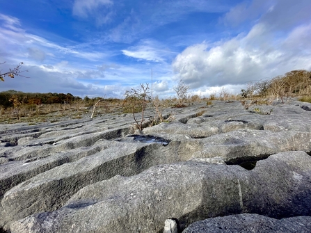 Image of limestone pavement at Clawthorpe Fell National Nature Reserve credit Cumbria Wildlife Trust