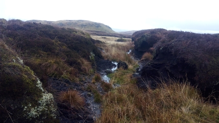 Image of peat gulley credit Cumbria Wildlife Trust