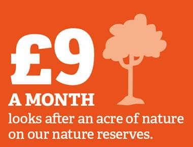 infographic illustrating £9 a month looks after an acre of nature on our nature reserves 