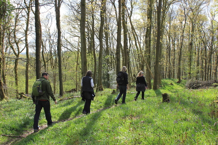 Four people walk through a woodland in spring, with sun coming through the trees