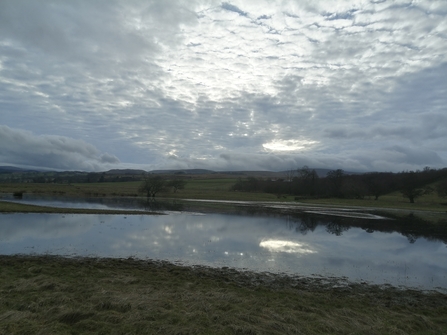 Image of tarn at Lowther Estate downstream of beaver enclosure credit Lowther Estate