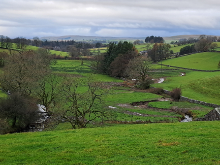 Image of Scandal Beck and new river channel at Bowber Head Farm