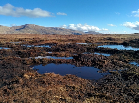 armboth fell peatland restoration 