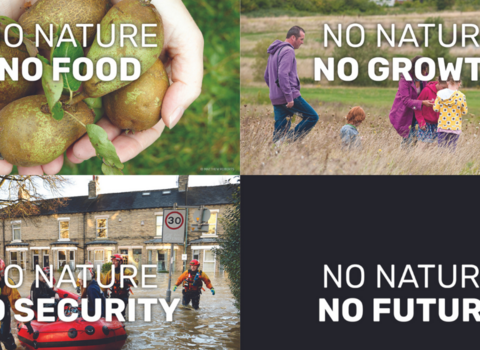 Defend Nature campaign postcards