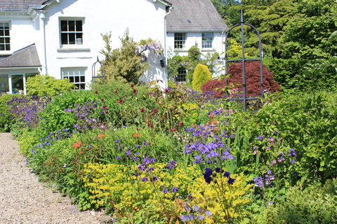 Plumgarths office and wildlife garden