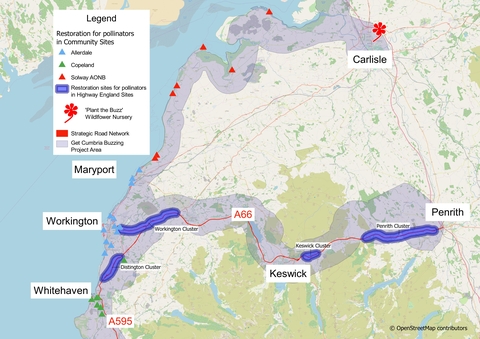 Get Cumbria Buzzing Map
