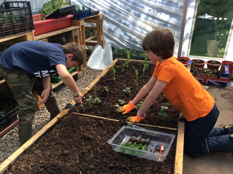 Two boys planting seedlings in a wooden planter